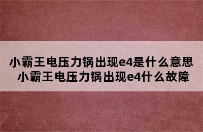 小霸王电压力锅出现e4是什么意思 小霸王电压力锅出现e4什么故障